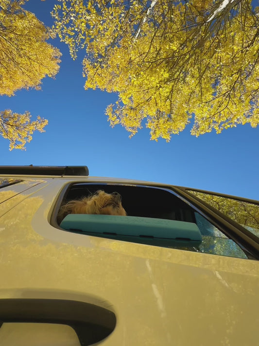 The Whiffie Cushion™ — Patent-Pending Car Window Chin Rest For Dogs