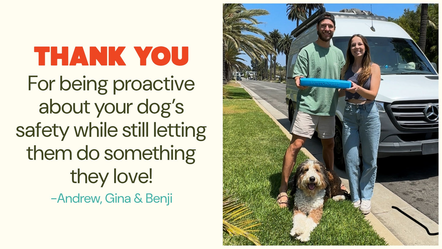 The Whiffie Cushion™ — Patent-Pending Car Window Chin Rest For Dogs