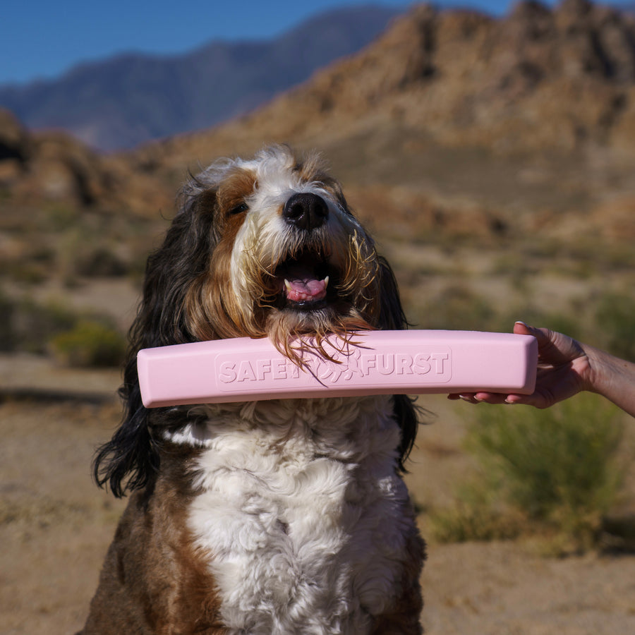 Cherry Blossom — The Whiffie Cushion™ — Patented Car Window Chin Rest For Dogs