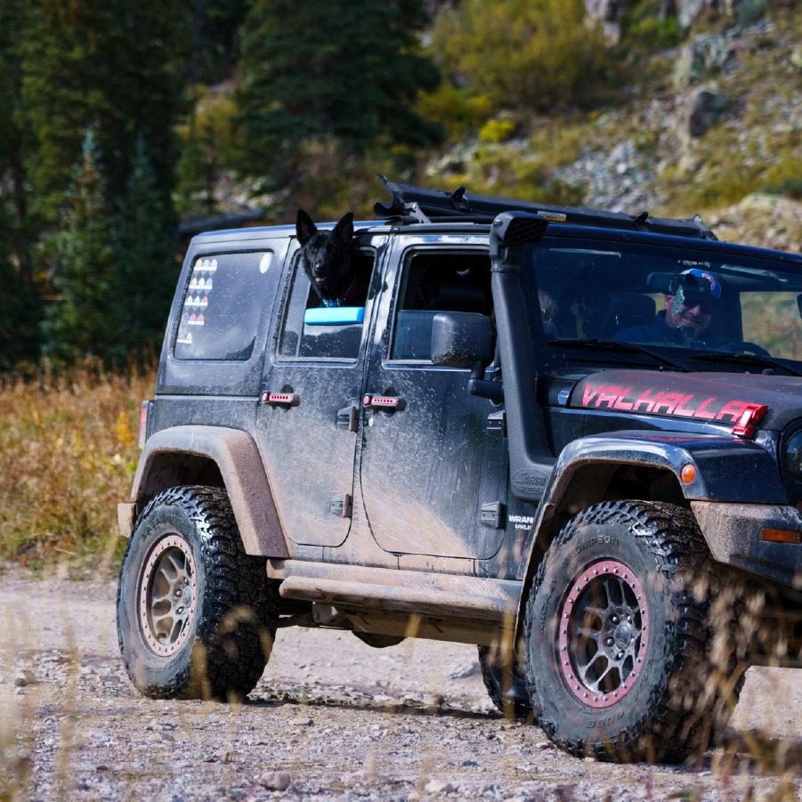 The Whiffie Cushion™ — Patent-Pending Car Window Chin Rest For Dogs