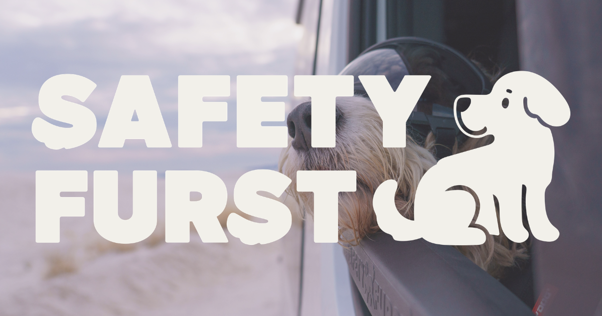 SafetyFurst™ | Patented Gear for Adventure Dogs